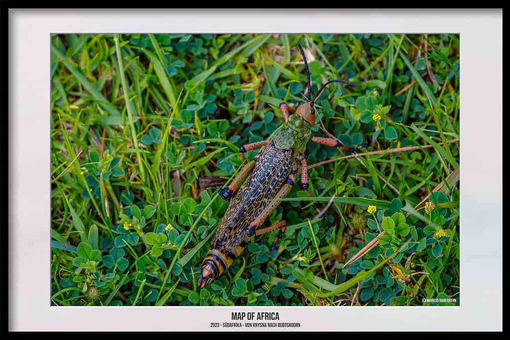 Map of Africa – Ein spektakulärer Aussichtspunkt an der Garden Route