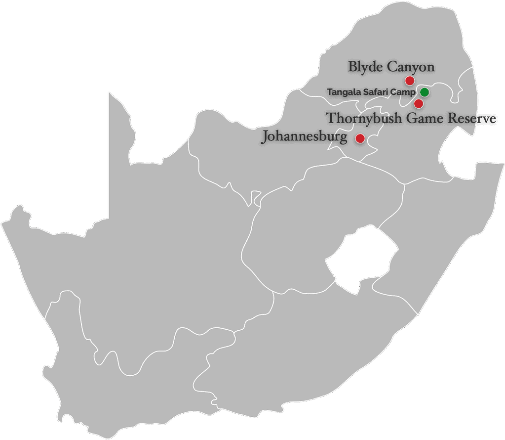 Thornybush Game Reserve – Traumhafter Aufenthalt im Greater Kruger National Park