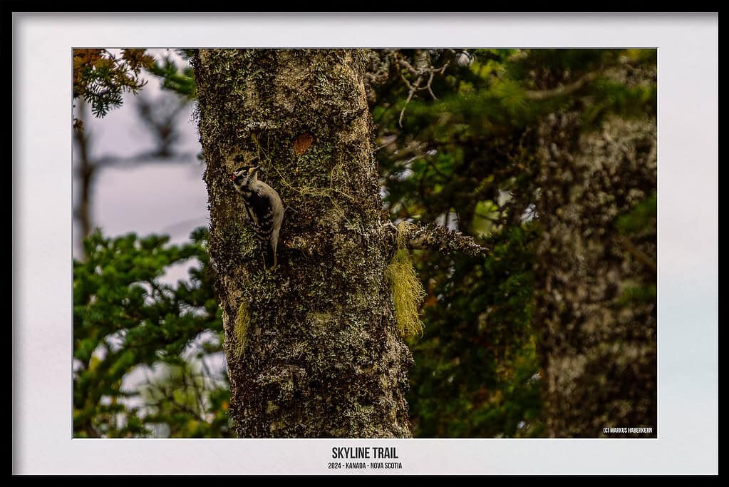 Der Skyline Trail – Dramatische Wanderung, wo der Himmel auf das Meer trifft