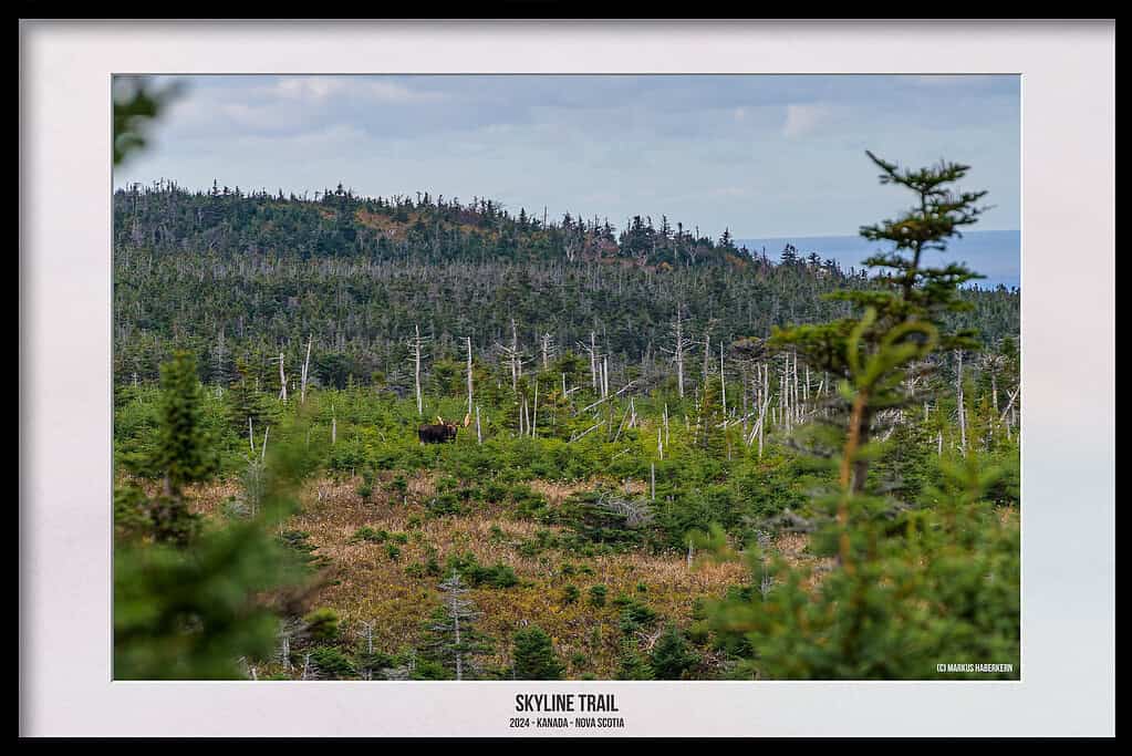 Der Skyline Trail – Dramatische Wanderung, wo der Himmel auf das Meer trifft