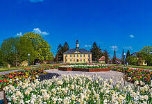 Bad Rappenau – Eine Stadtbesichtigung mit 7 tollen Sehenswürdigkeiten